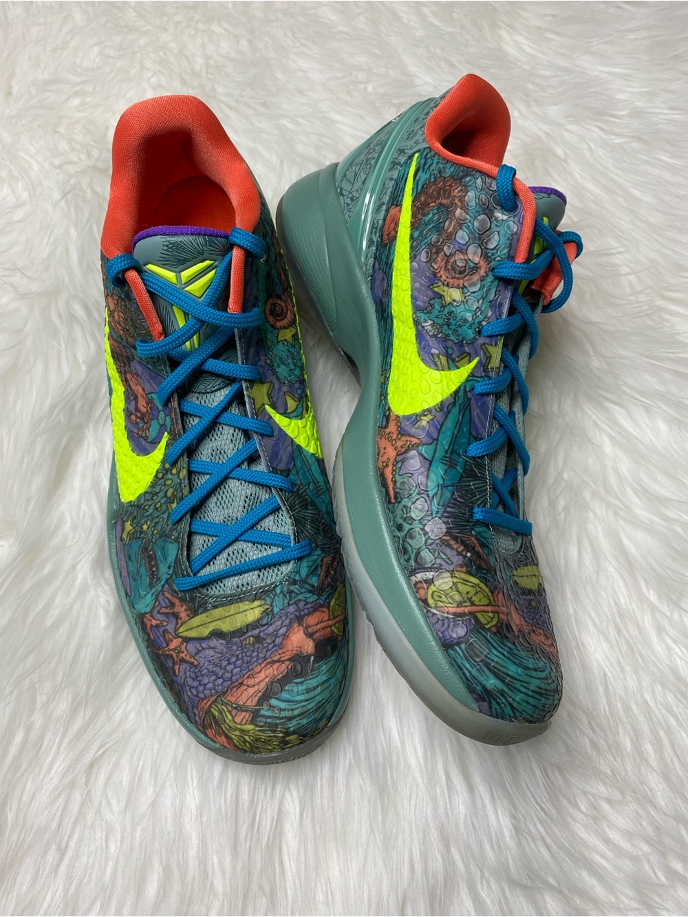 Nike zoom Kobe 6 prelude